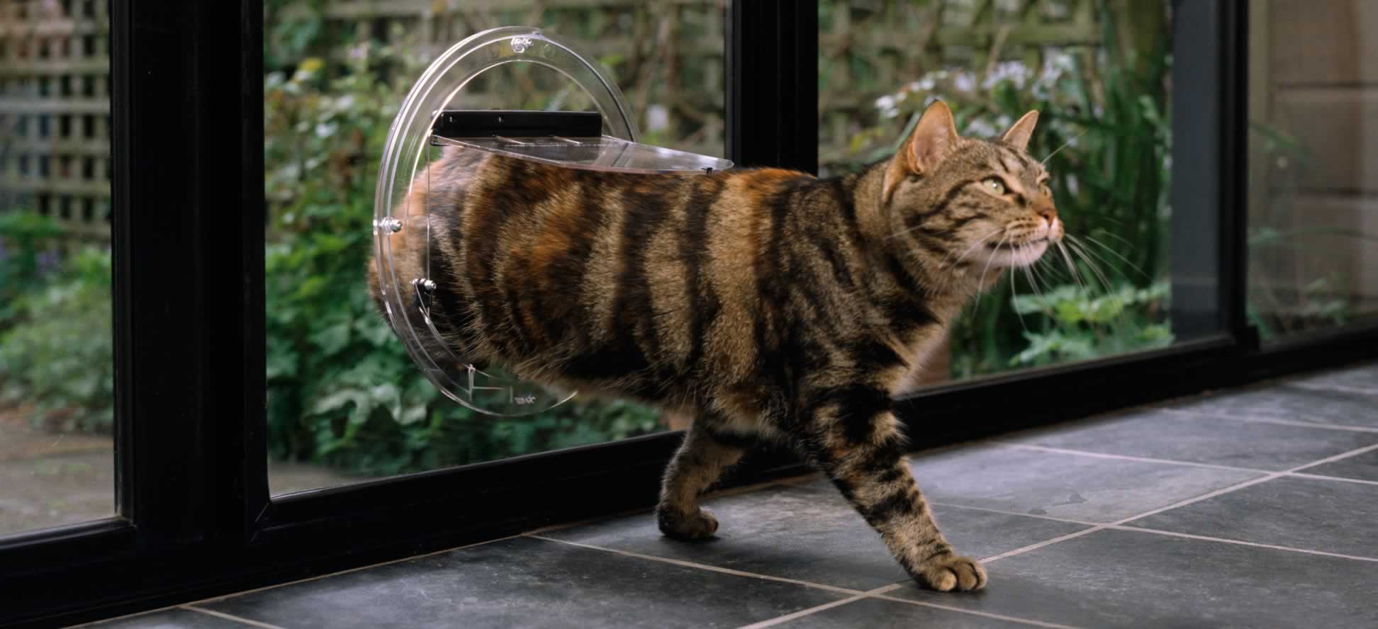 Cat Door &amp; Dog Door Supplier Australia &amp; New Zealand | Transcat